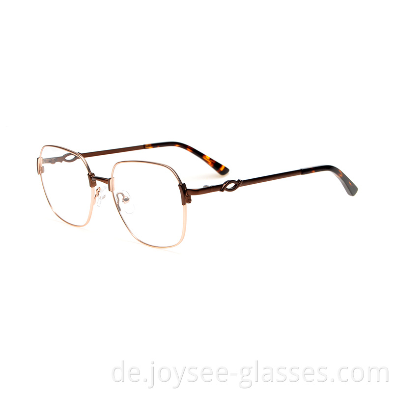 Metal Glasses Frames 1